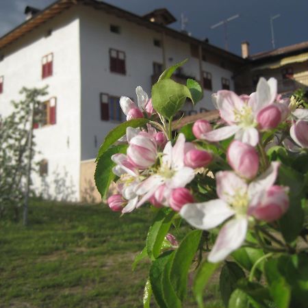 Agritur Maso San Bartolomeo Villa Romeno ภายนอก รูปภาพ
