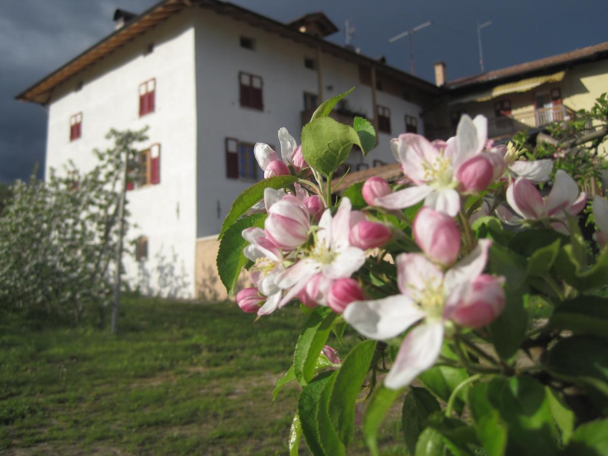 Agritur Maso San Bartolomeo Villa Romeno ภายนอก รูปภาพ
